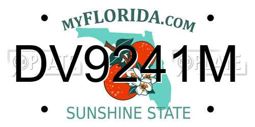 DV9241M Florida License Plate
