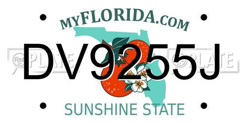 DV9255J Florida License Plate