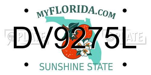 DV9275L Florida License Plate