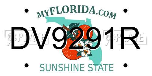 DV9291R Florida License Plate