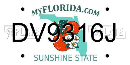 DV9316J Florida License Plate