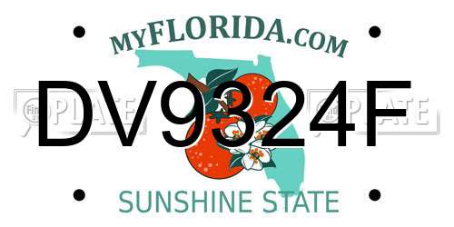 DV9324F Florida License Plate
