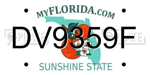 DV9359F Florida License Plate