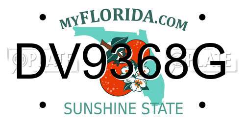 DV9368G Florida License Plate