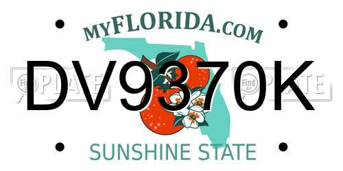 DV9370K Florida License Plate