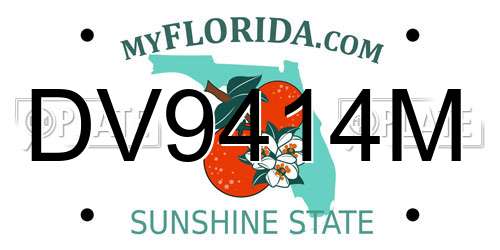 DV9414M Florida License Plate
