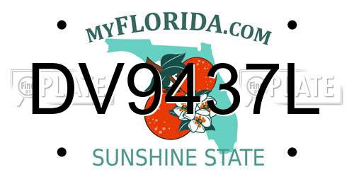 DV9437L Florida License Plate