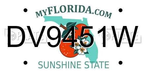 DV9451W Florida License Plate