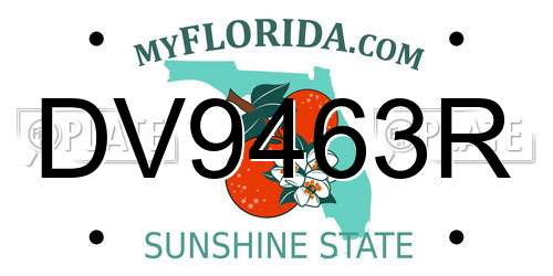 DV9463R Florida License Plate