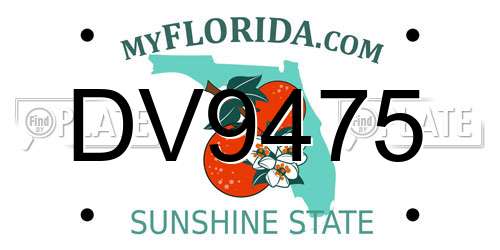 DV9475 Florida License Plate