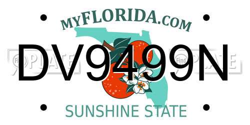 DV9499N Florida License Plate