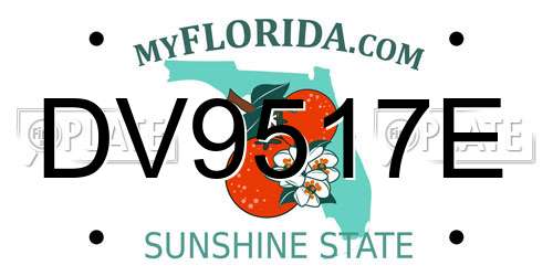 DV9517E Florida License Plate