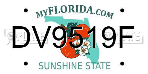 DV9519F Florida License Plate
