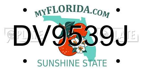 DV9539J Florida License Plate