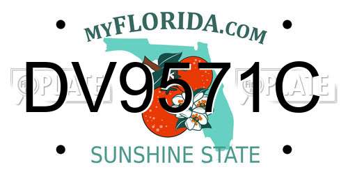 DV9571C Florida License Plate