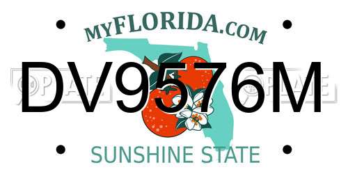DV9576M Florida License Plate