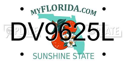 DV9625L Florida License Plate
