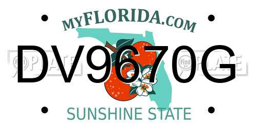 DV9670G Florida License Plate