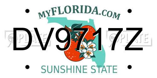 DV9717Z Florida License Plate