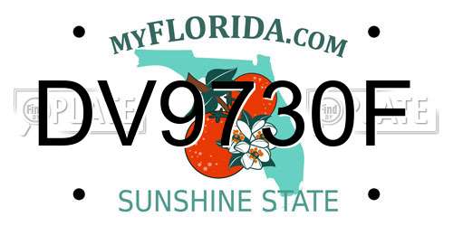 DV9730F Florida License Plate