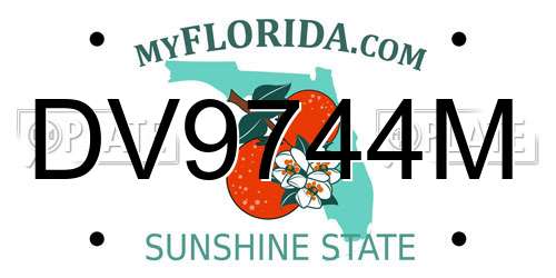 DV9744M Florida License Plate