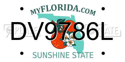 DV9786L Florida License Plate