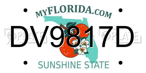 DV9817D Florida License Plate