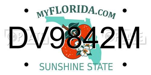 DV9842M Florida License Plate