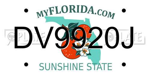 DV9920J Florida License Plate