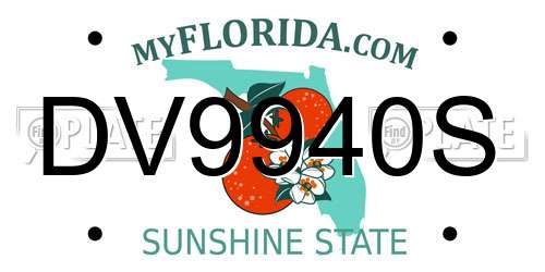 DV9940S Florida License Plate