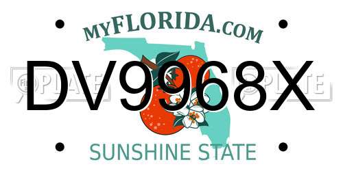 DV9968X Florida License Plate
