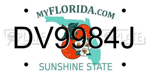 DV9984J Florida License Plate