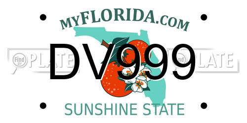 DV999 Florida License Plate