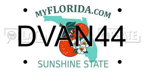 DVAN44 Florida License Plate