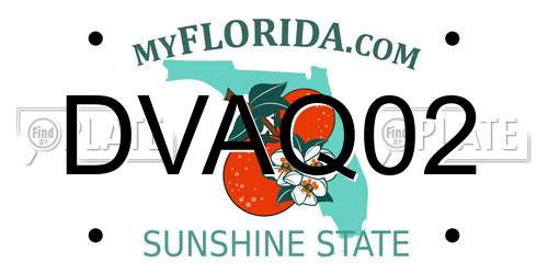 DVAQ02 Florida License Plate