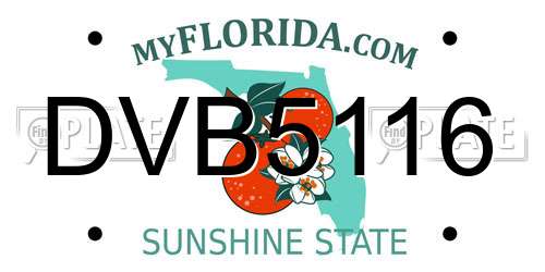 DVB5116 Florida License Plate