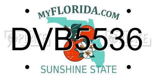 DVB5536 Florida License Plate