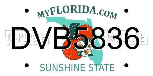 DVB5836 Florida License Plate