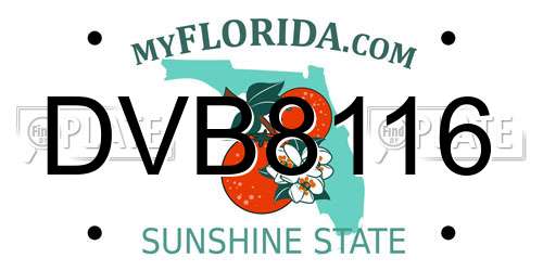 DVB8116 Florida License Plate