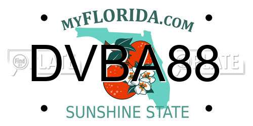 DVBA88 Florida License Plate