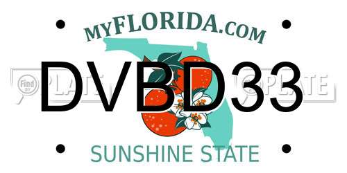 DVBD33 Florida License Plate