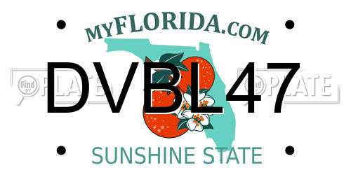 DVBL47 Florida License Plate
