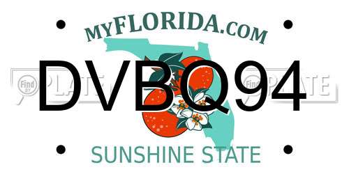 DVBQ94 Florida License Plate