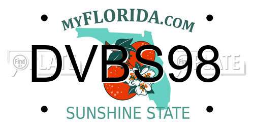 DVBS98 Florida License Plate