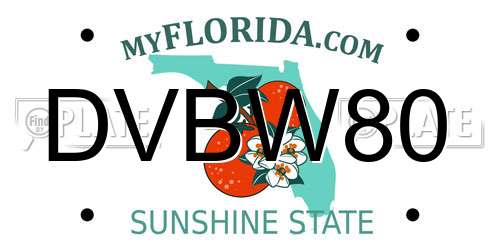 DVBW80 Florida License Plate