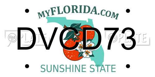 DVCD73 Florida License Plate
