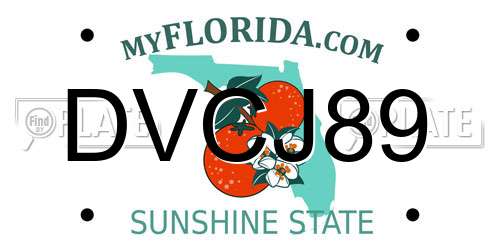 DVCJ89 Florida License Plate