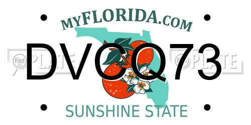 DVCQ73 Florida License Plate