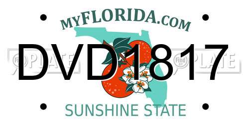 DVD1817 Florida License Plate