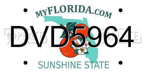 DVD5964 Florida License Plate
